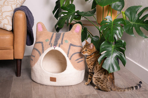 Bengal Cat Peekaboo Cat Cave