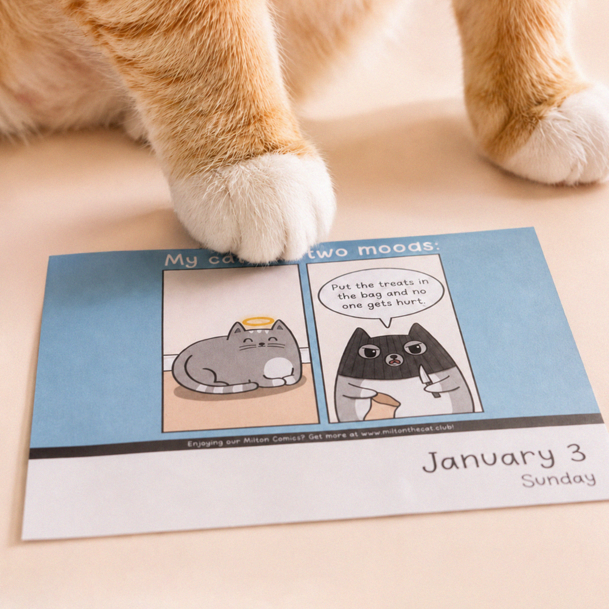 Milton the Cat™ 2027 Page-A-Day Calendar | The Most Loved Cat Webcomic