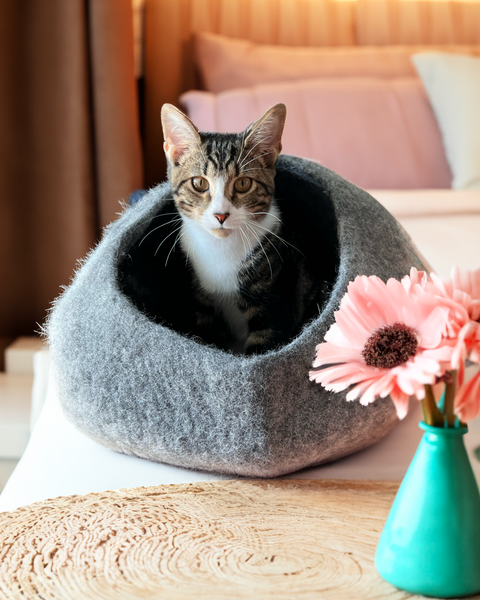 Lit pour chat